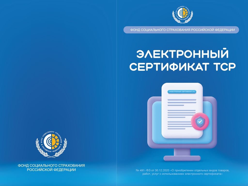 С начала 2025 года жители Воронежской области приобрели с помощью электронных сертификатов 377 тысяч технических средств реабилитаций.