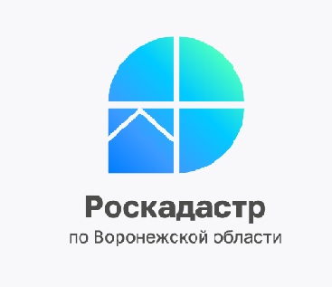 Все территориальные зоны Воронежской области, установленные ПЗЗ,  внесены в ЕГРН.