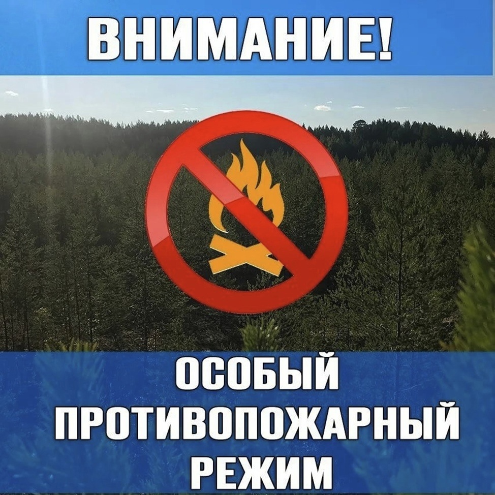 Постановлением правительства Воронежской области от 25.03.2025 N 224  &quot;Об установлении противопожарного режима на территории Воронежской области&quot; с 15 апреля 2025 года.