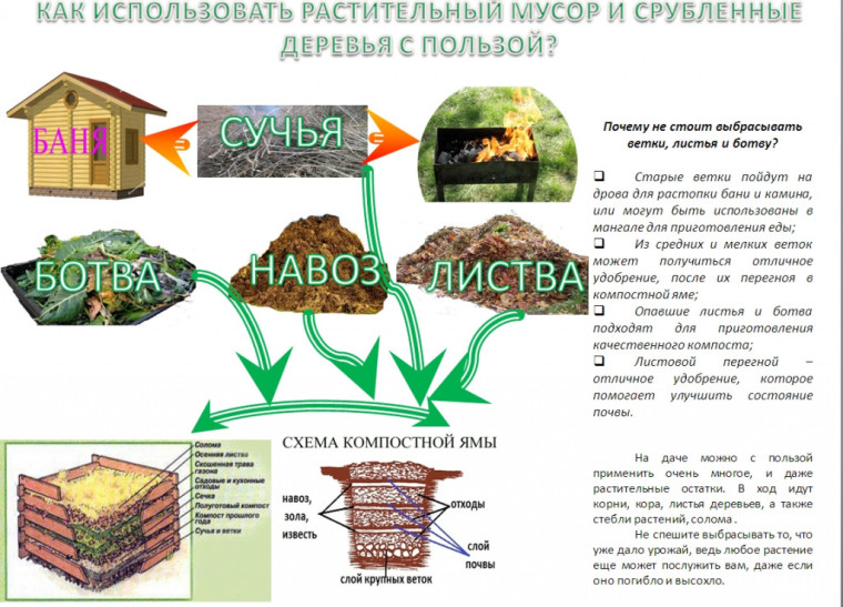 Памятка по обращению с растительными отходами.. Памятка по обращению с растительными отходами..