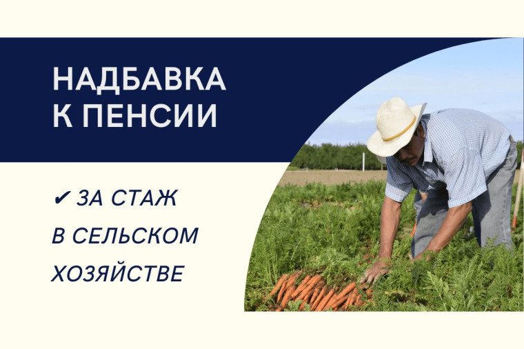Более 23 тысяч жителей Воронежской области получают доплату к пенсии за работу в сельском хозяйстве. Более 23 тысяч жителей Воронежской области получают доплату к пенсии за работу в сельском хозяйстве.